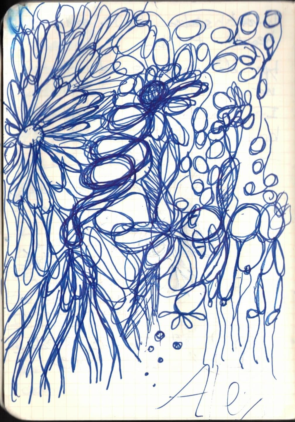 flower_decay.jpg