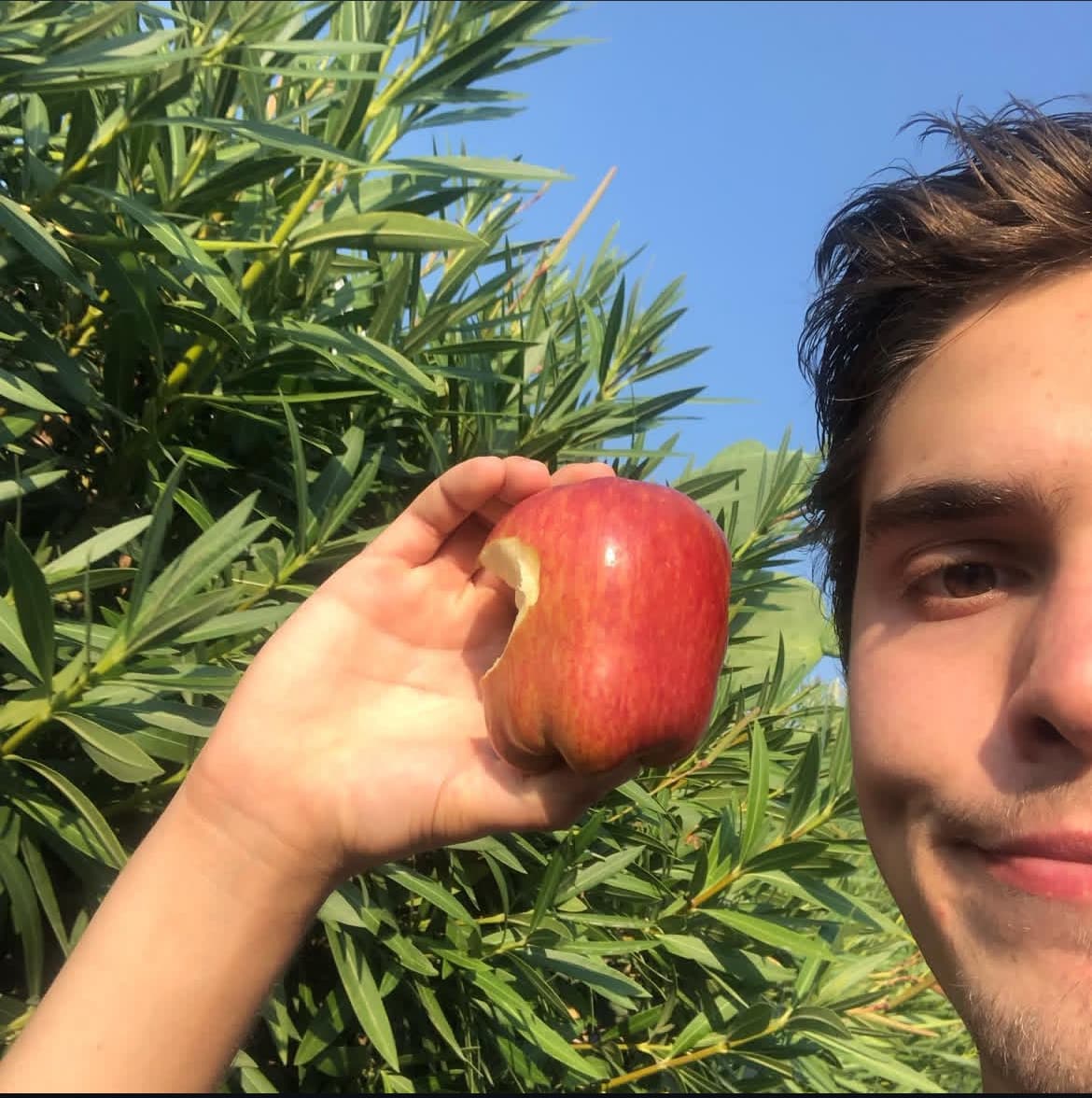 apple.jpg