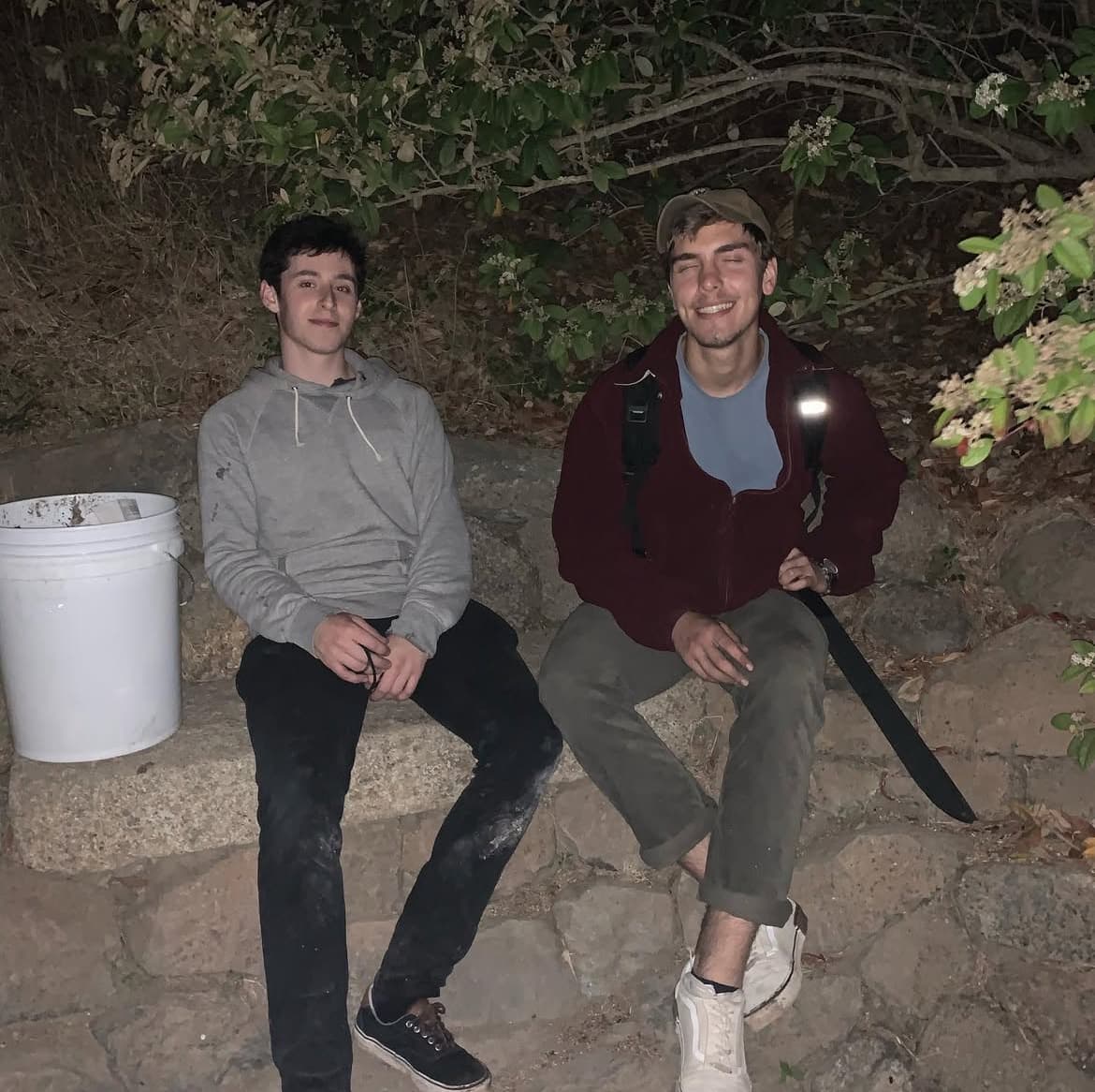 bois.jpg